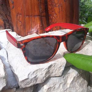 tortoise frame wooden sunglasses outside in sun